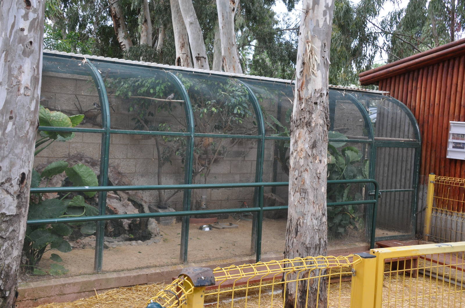 Native birds aviary