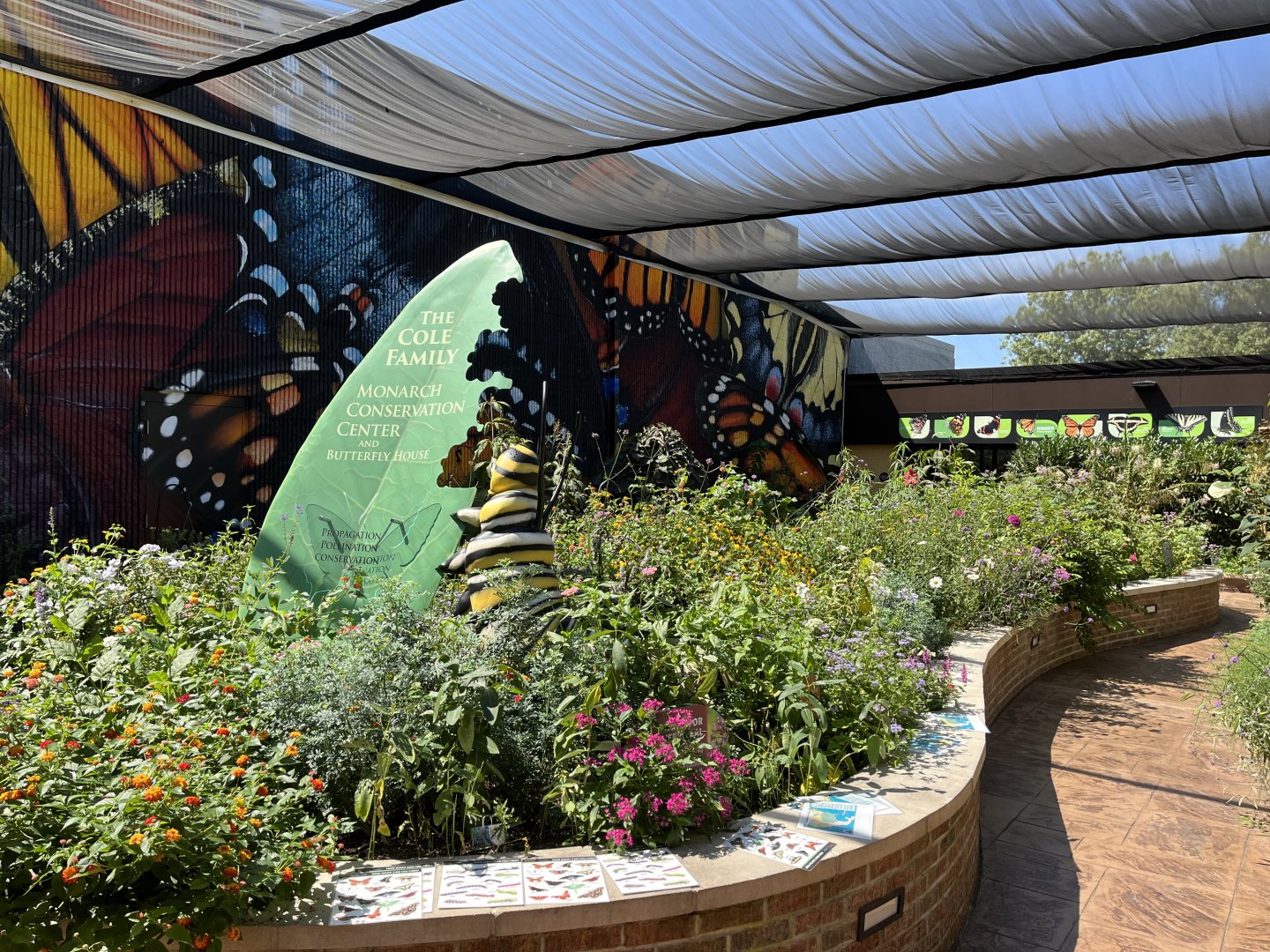 Native Butterfly Garden