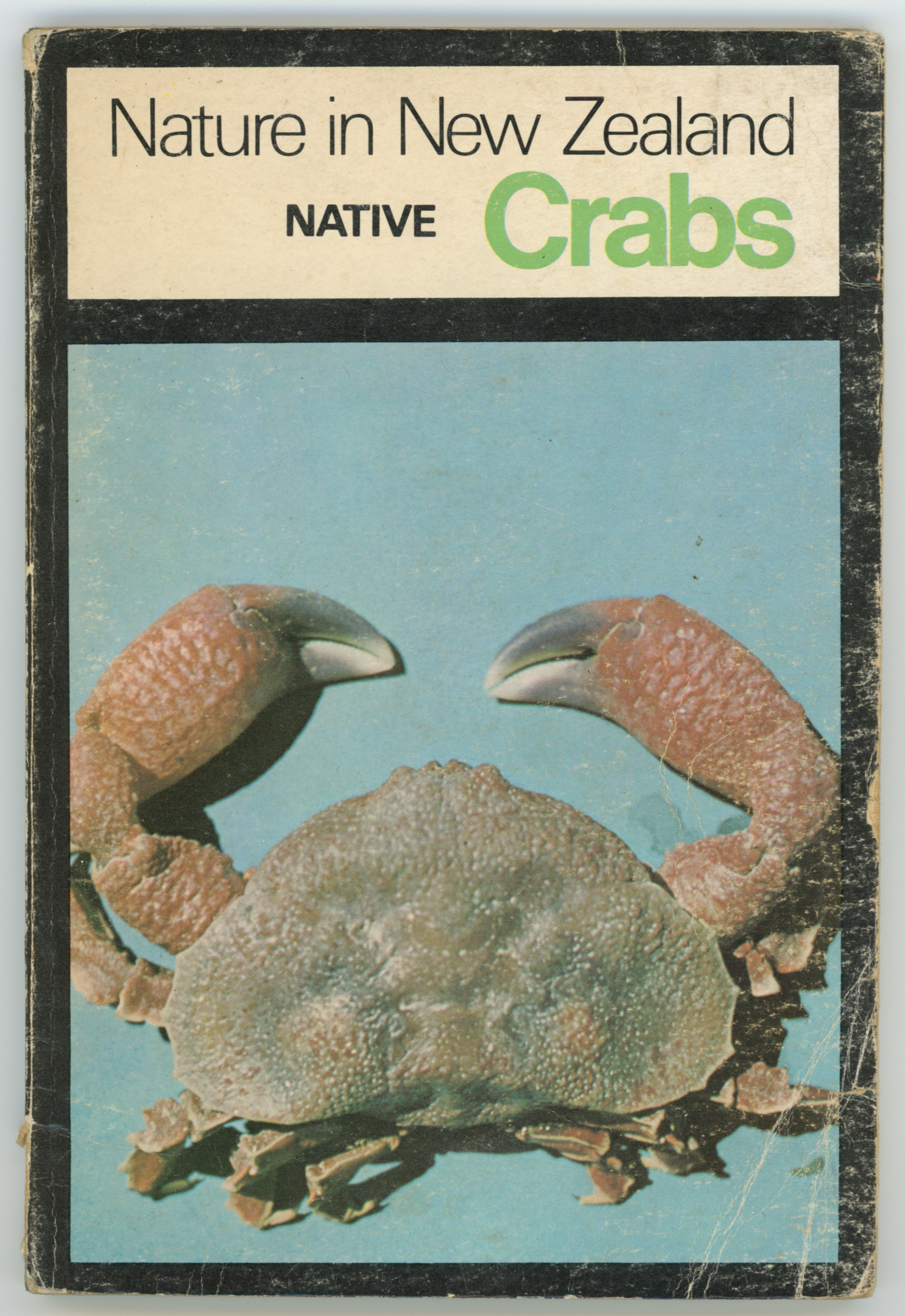 Native Crabs of New Zealand