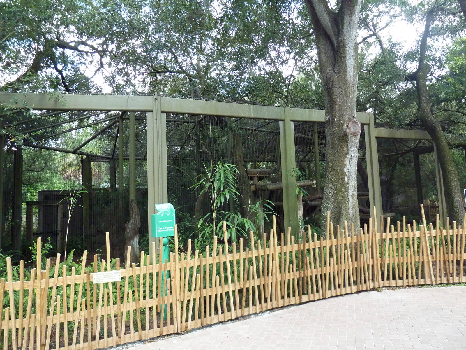 Native Florida - Florida Panther Exhibit
