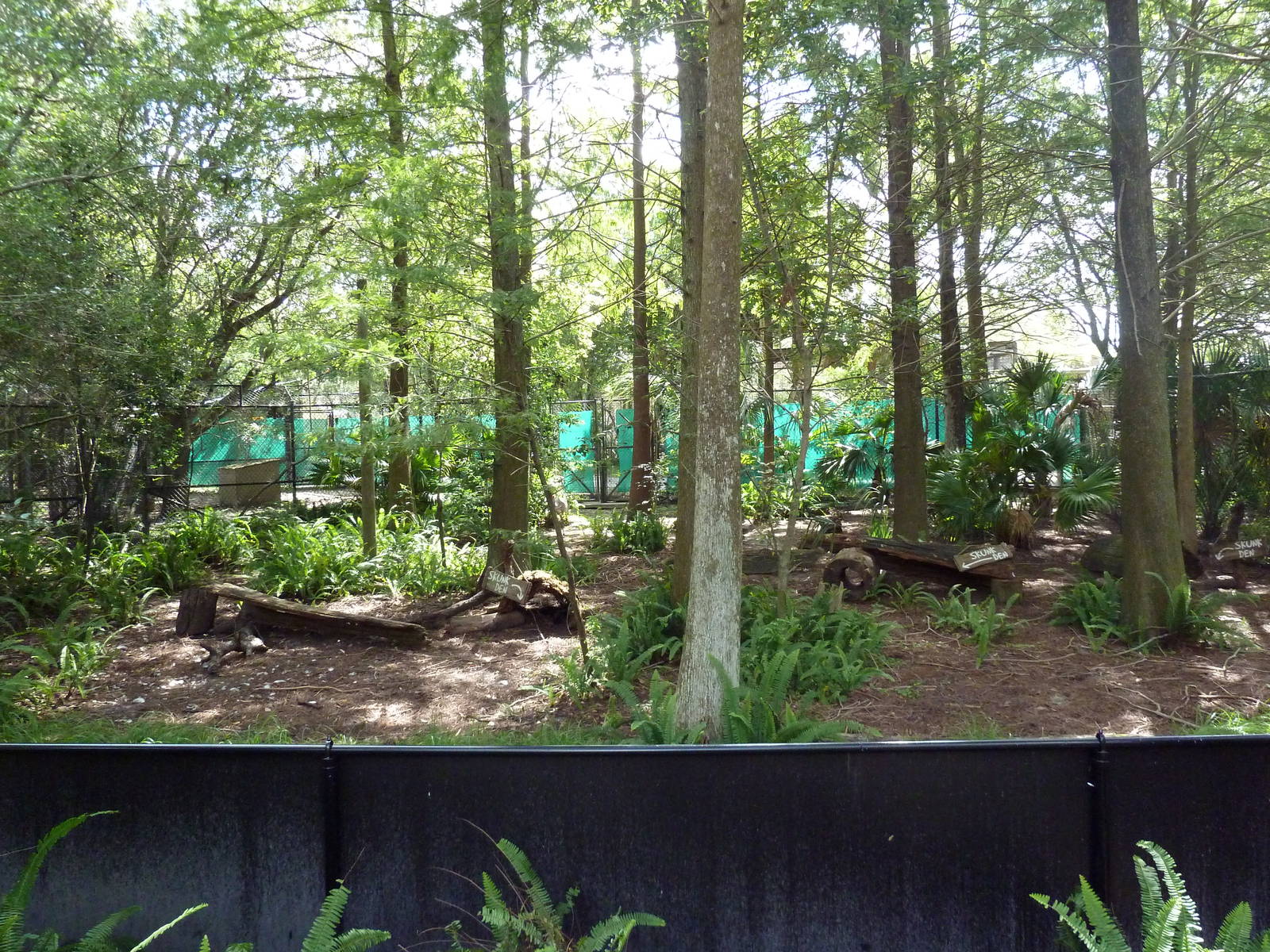 Native Florida - Mixed-Species Exhibit (4 Species)