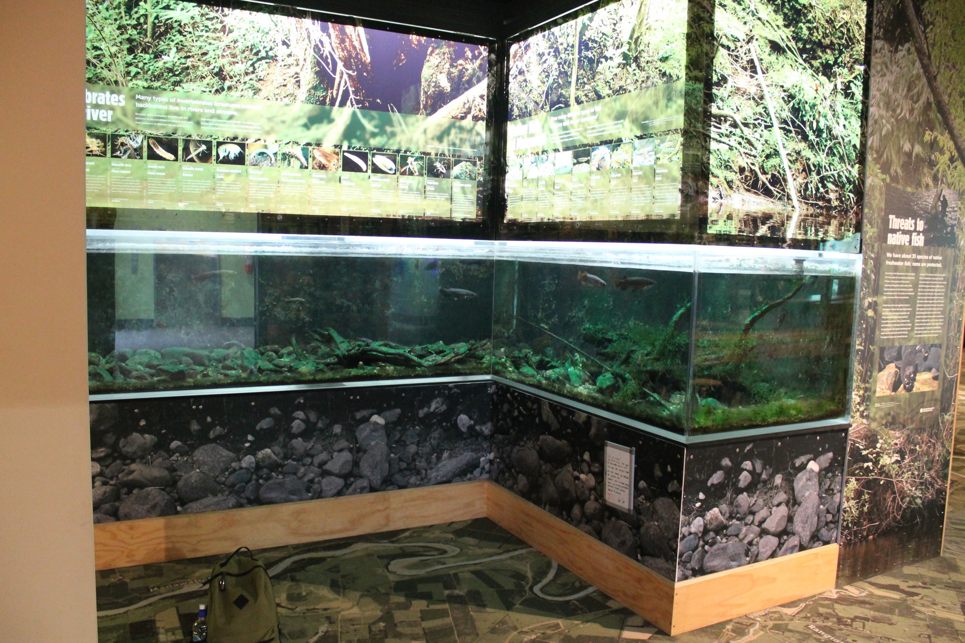 Native freshwater tank
