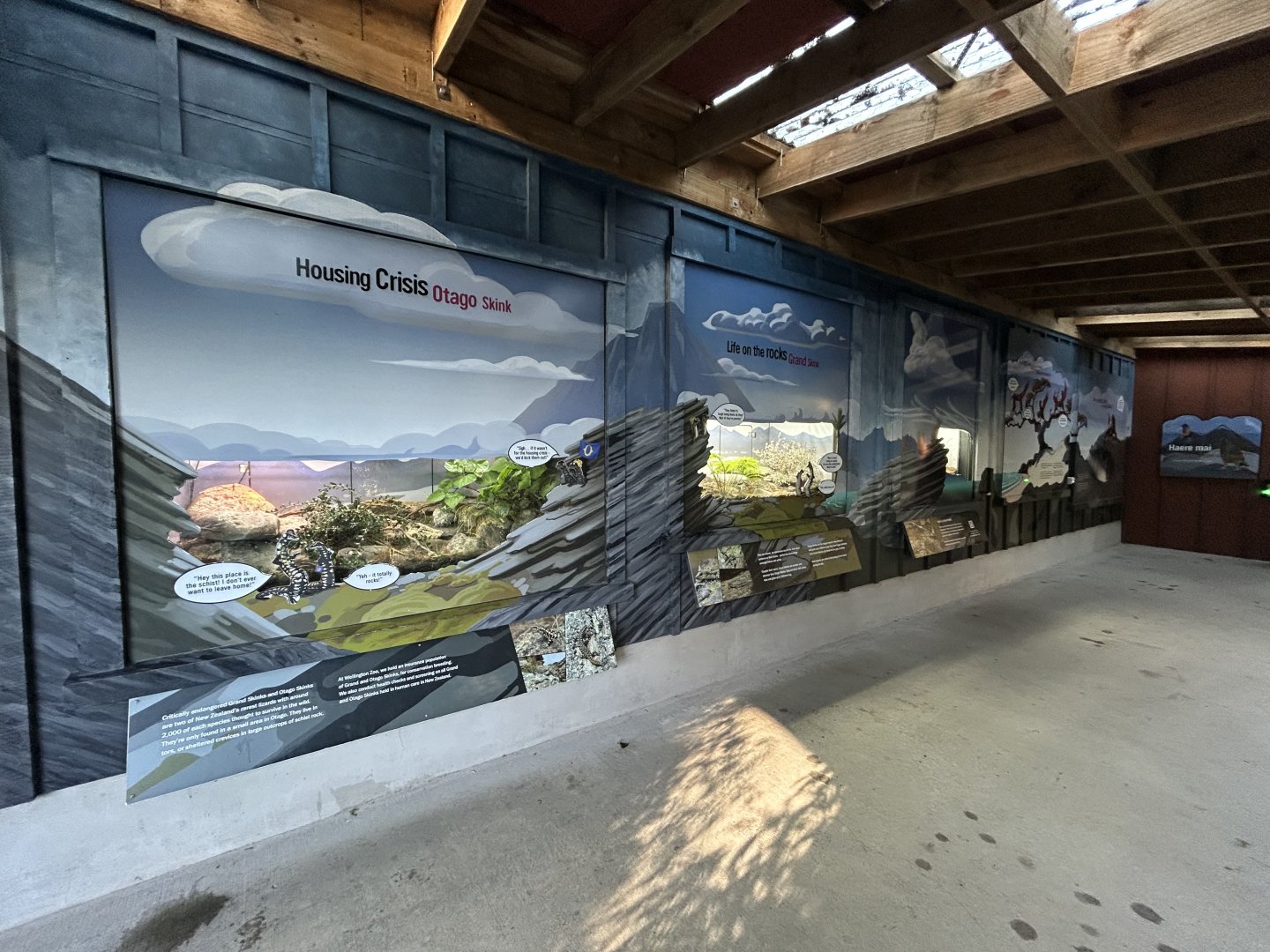 Native Herp Exhibits