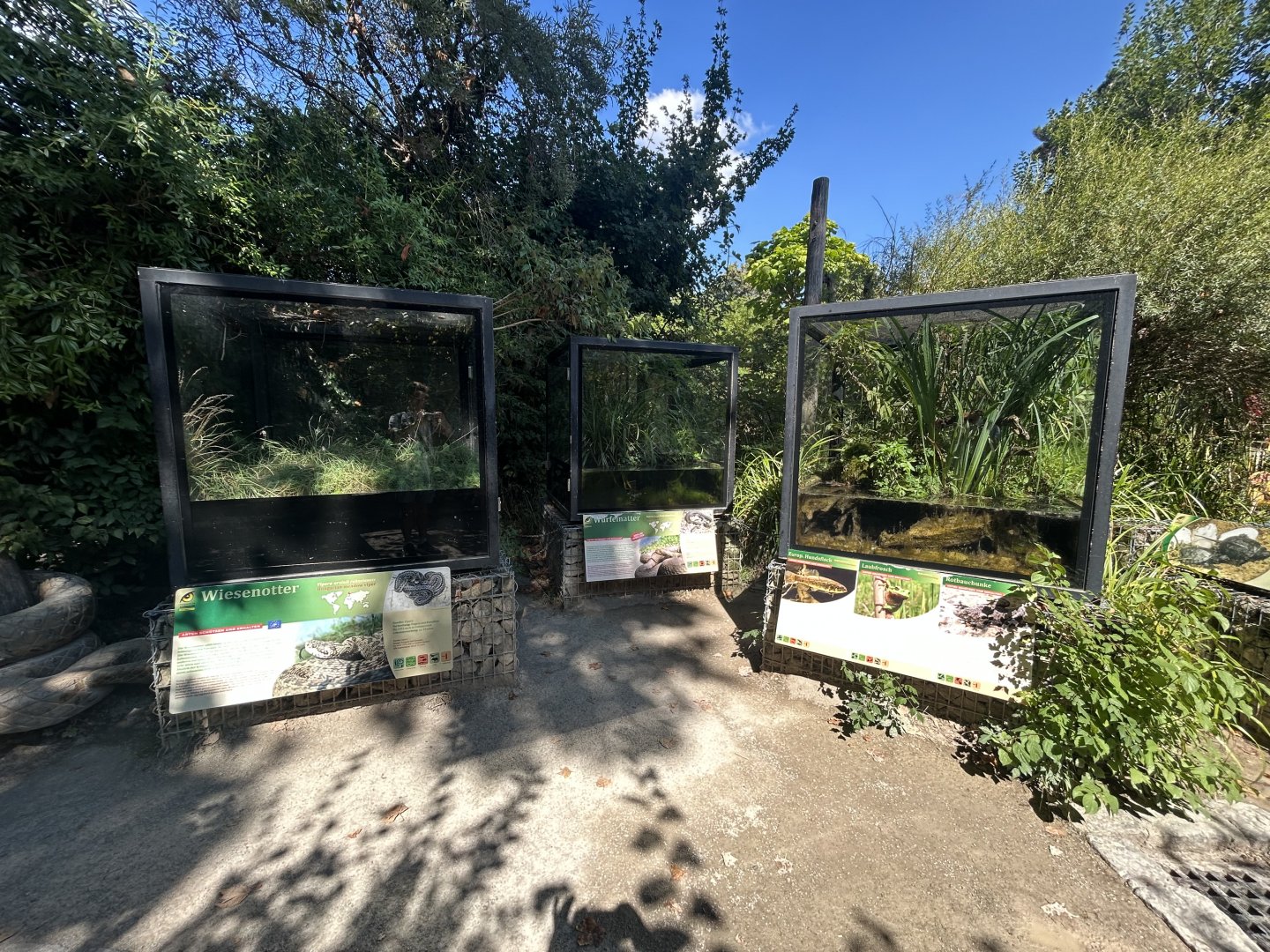 Native Herp Exhibits
