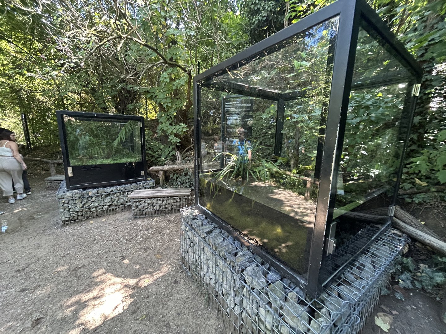 Native Herp Exhibits