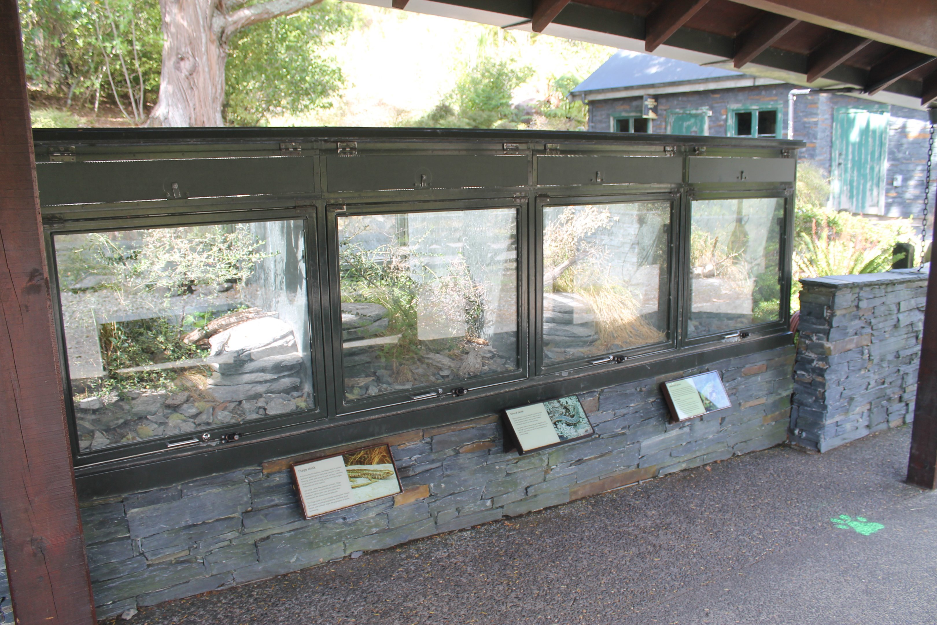 native lizard enclosures