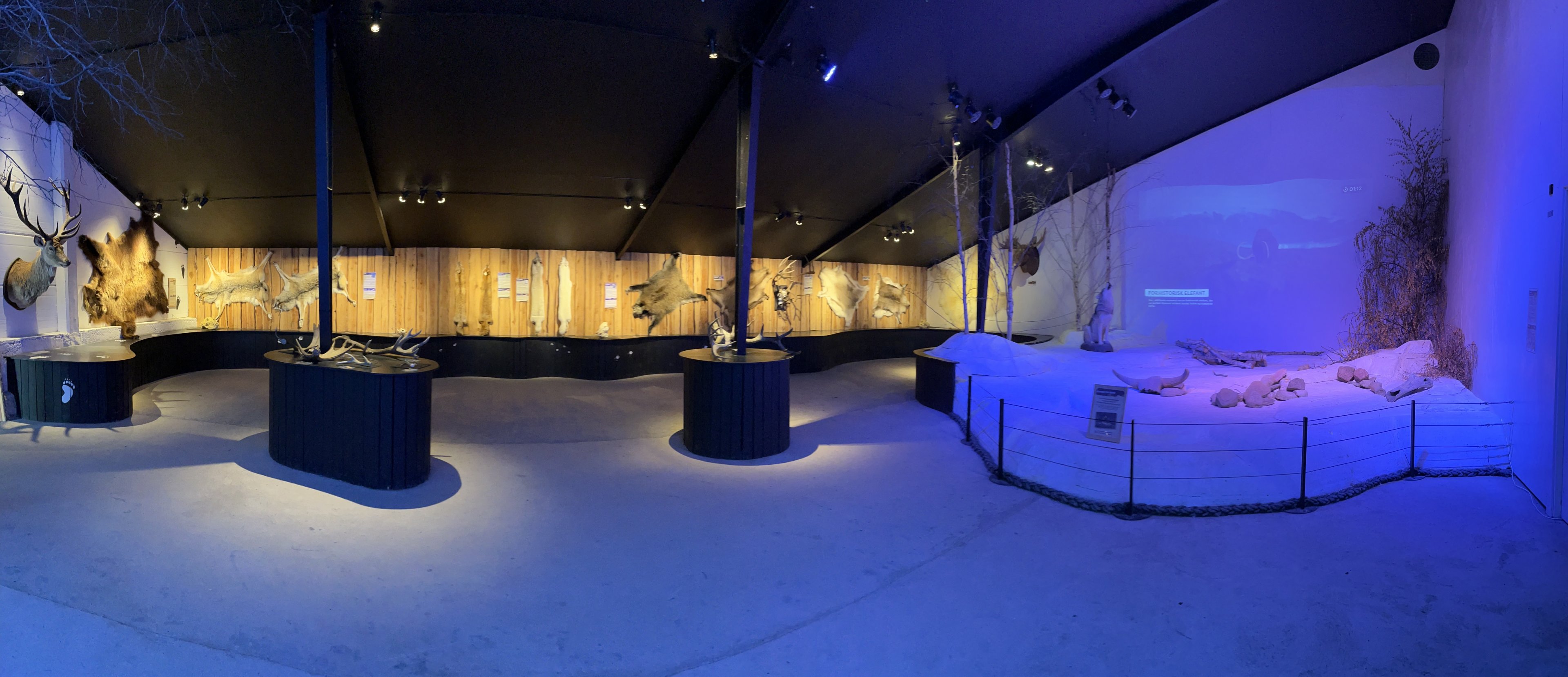 Native Mammal Interpretative Display