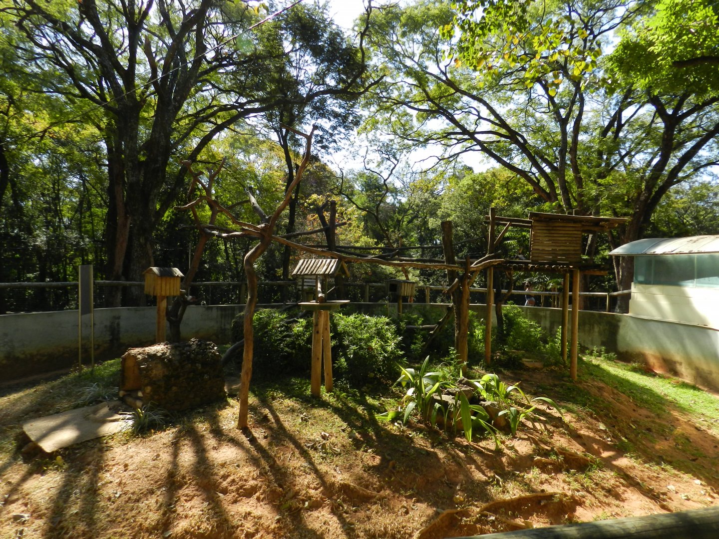 Native mammals exhibit - Belo Horizonte zoo