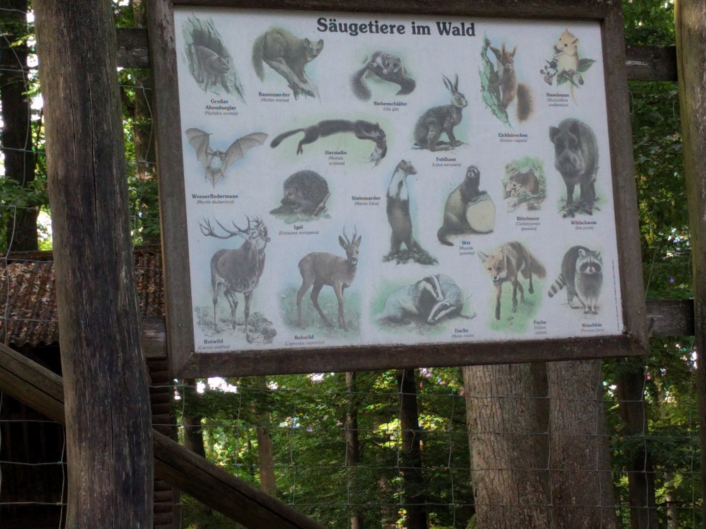 Native Mammals Signage