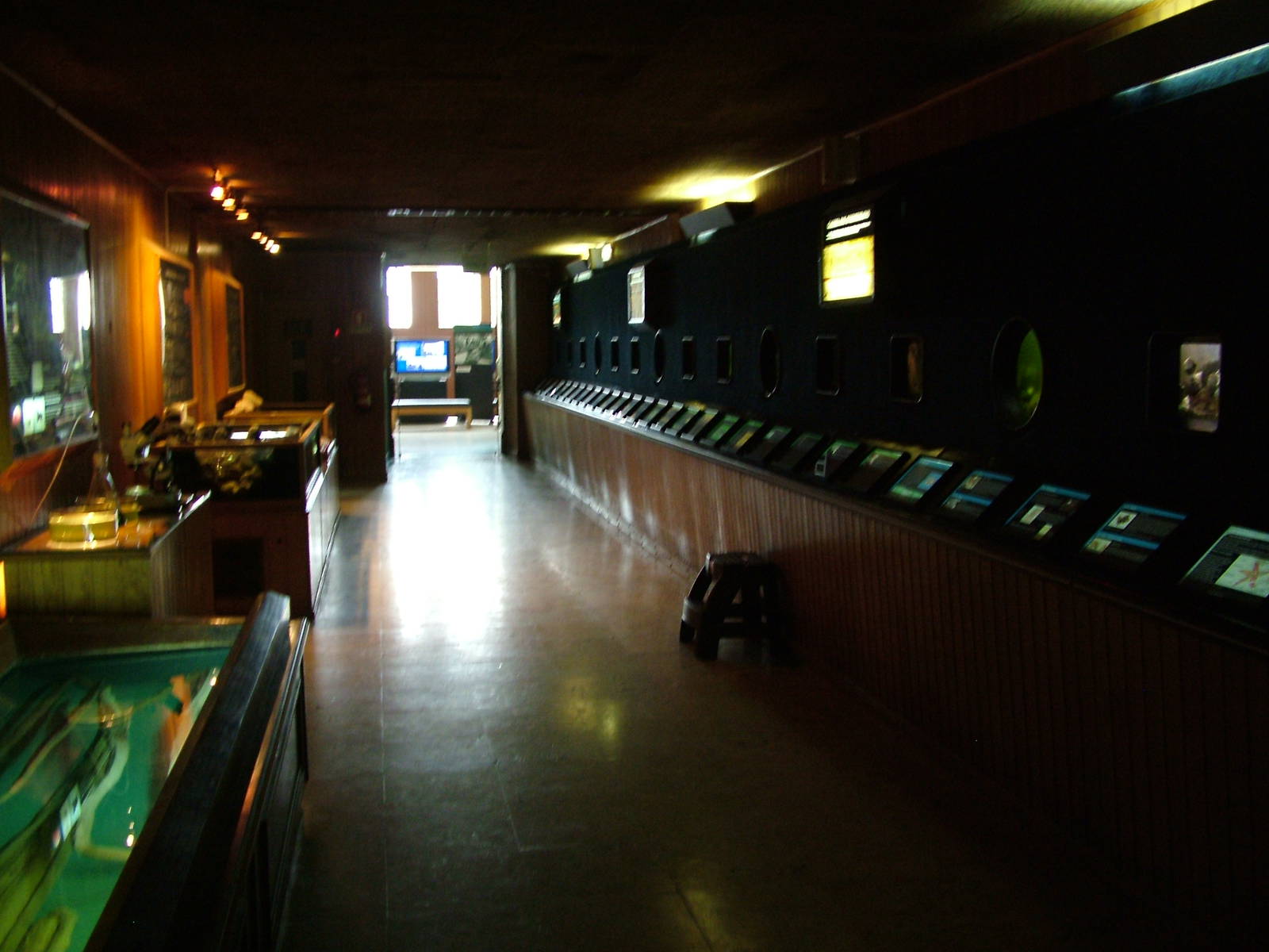 Native Marine Invertebrate Room at Vasco da Gama Aquarium, 25/05/11