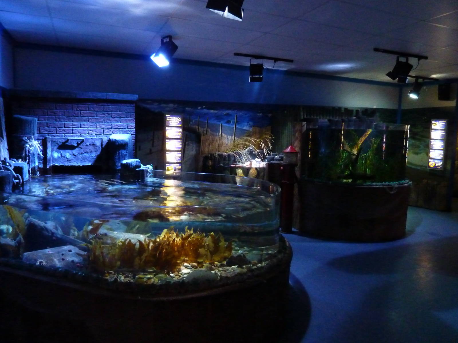 Native marine tanks