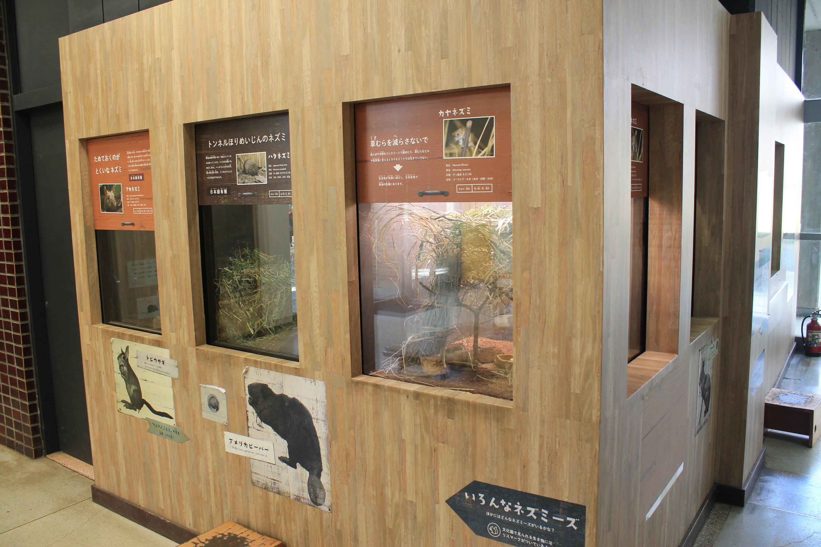 native mouse enclosures