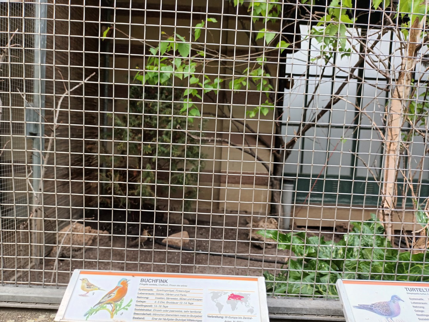 Native Pheasantary Aviary