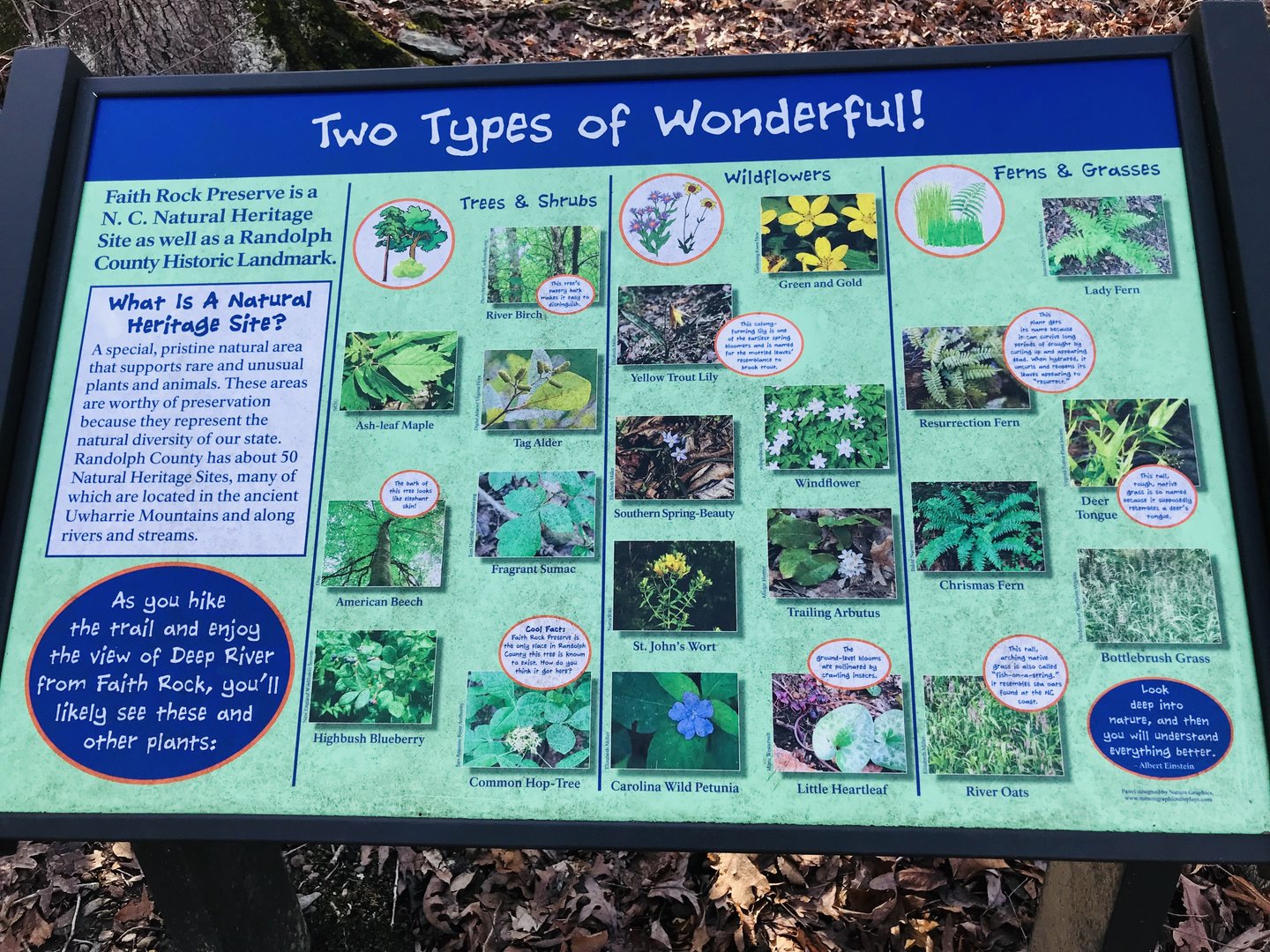 Native Plants Interpretive Sign