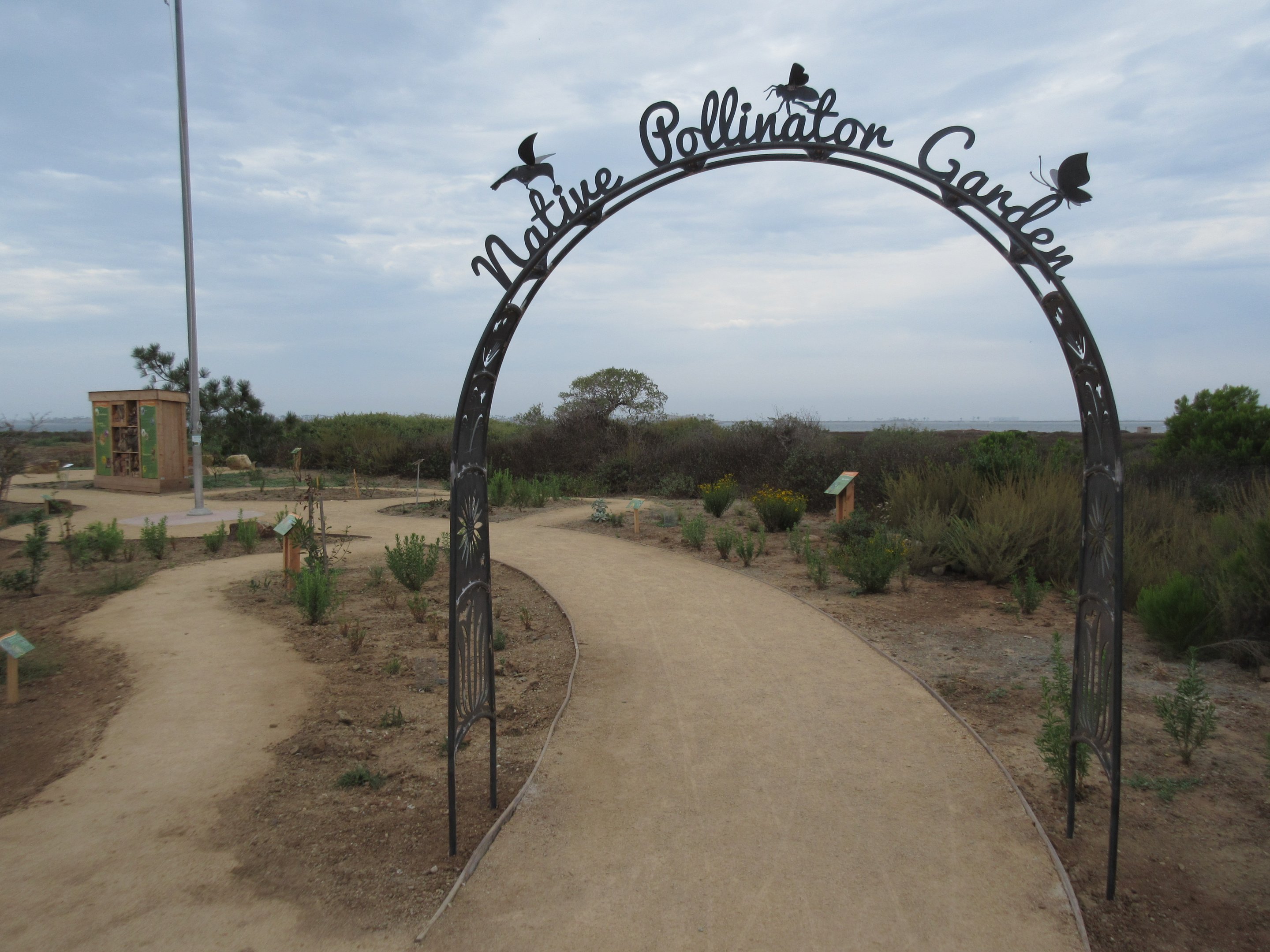 Native Pollinator Garden