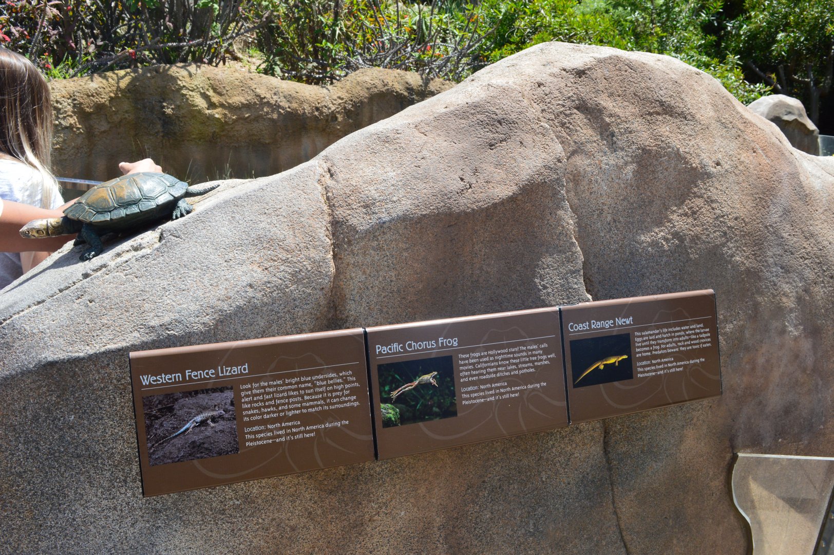 Native pond signage
