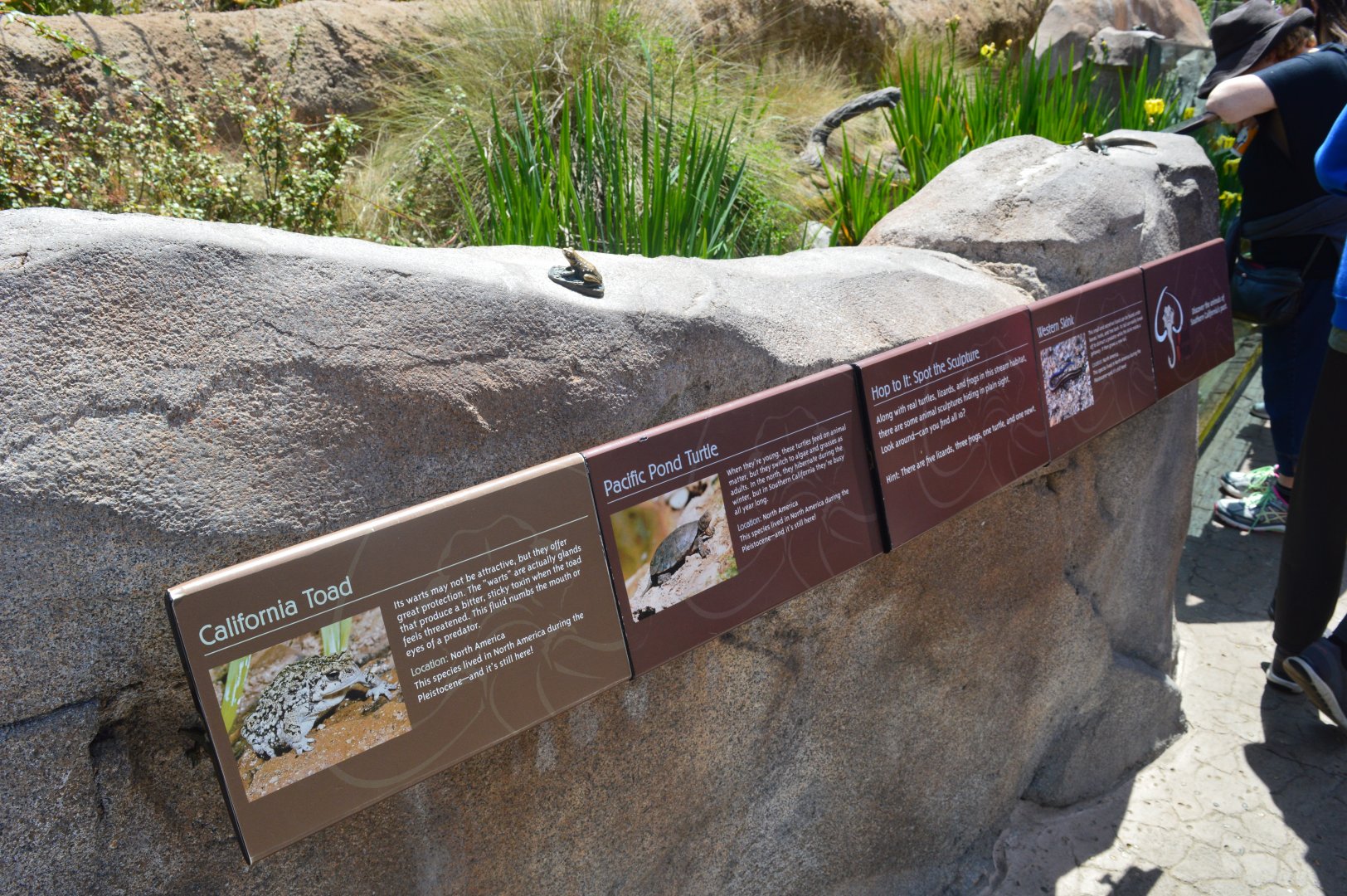 Native Pond Signeage