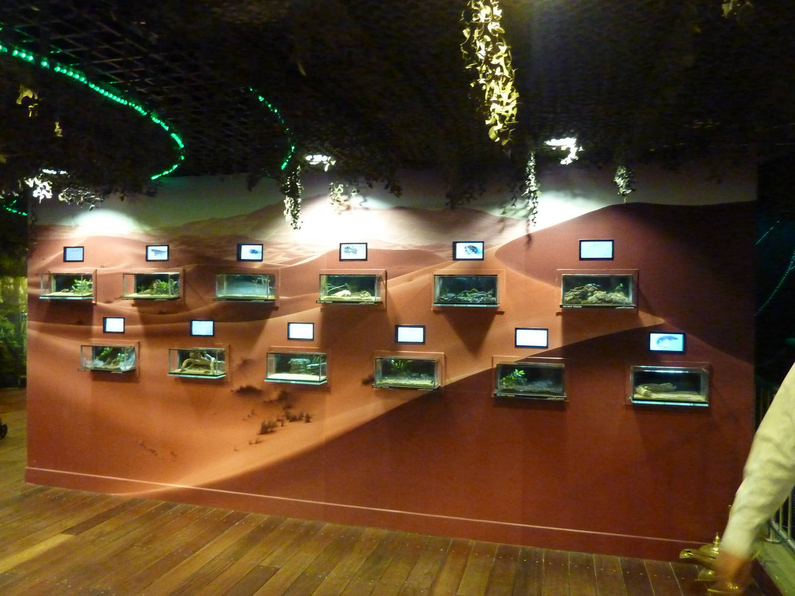 Native reptile, amphibian and invertebrate enclosures