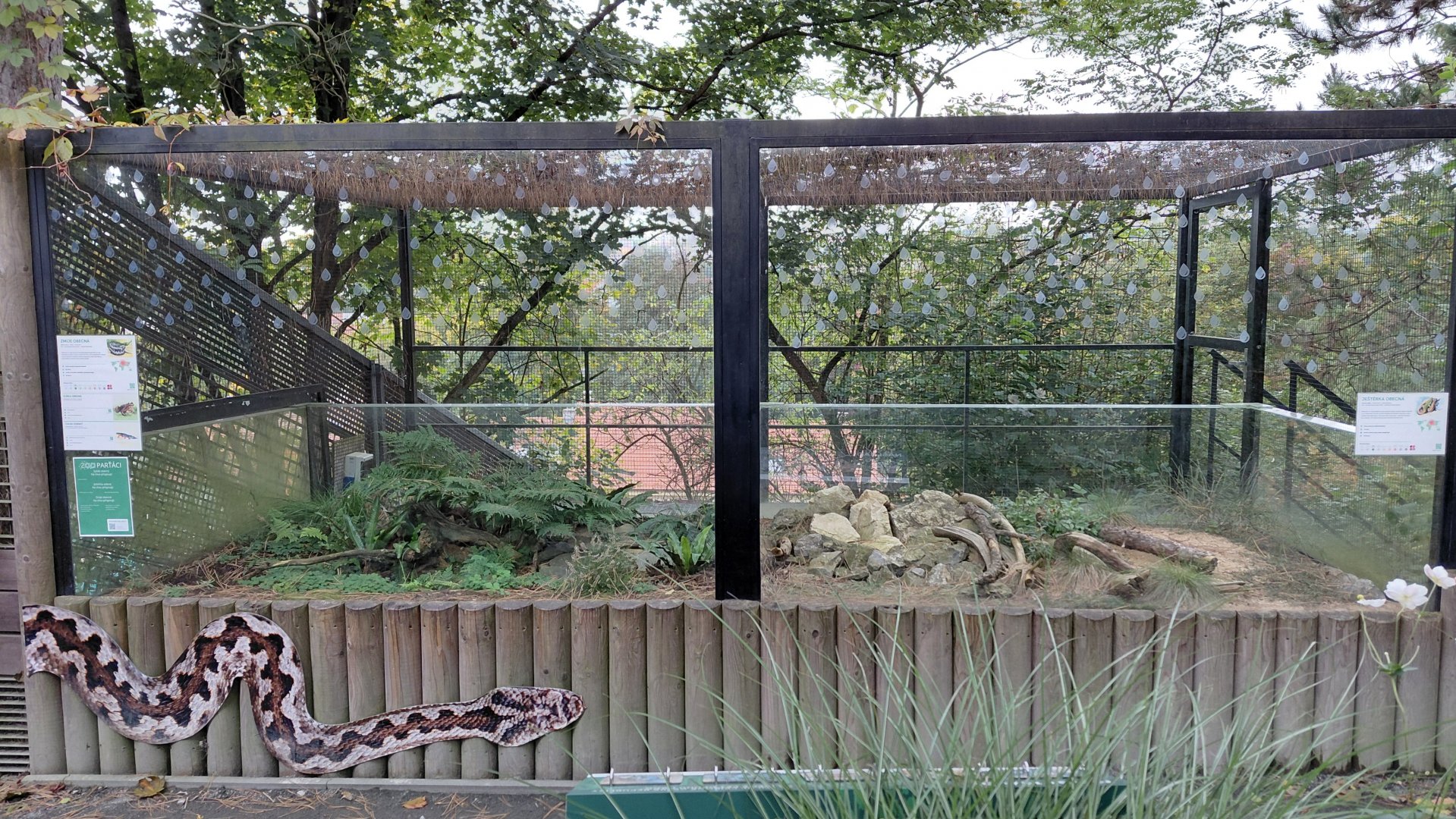 Native reptile + amphibian exhibits