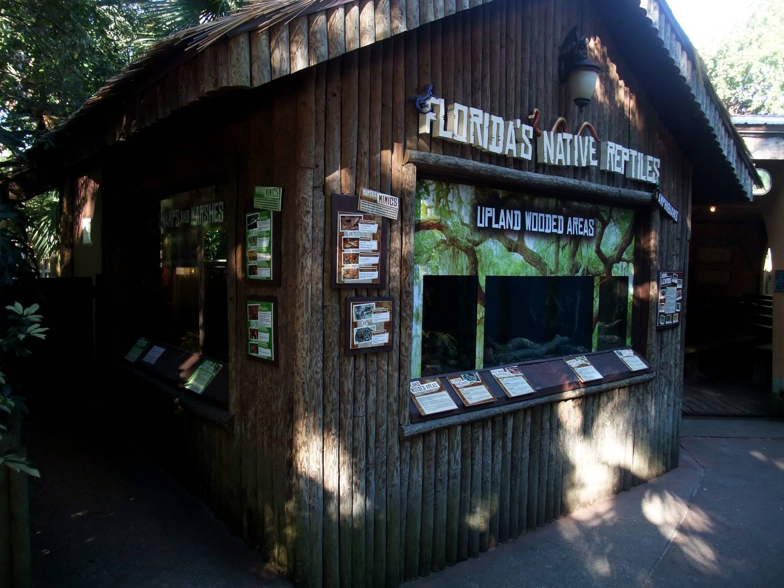 Native Reptile Display at St. Augustine, 11/10/13