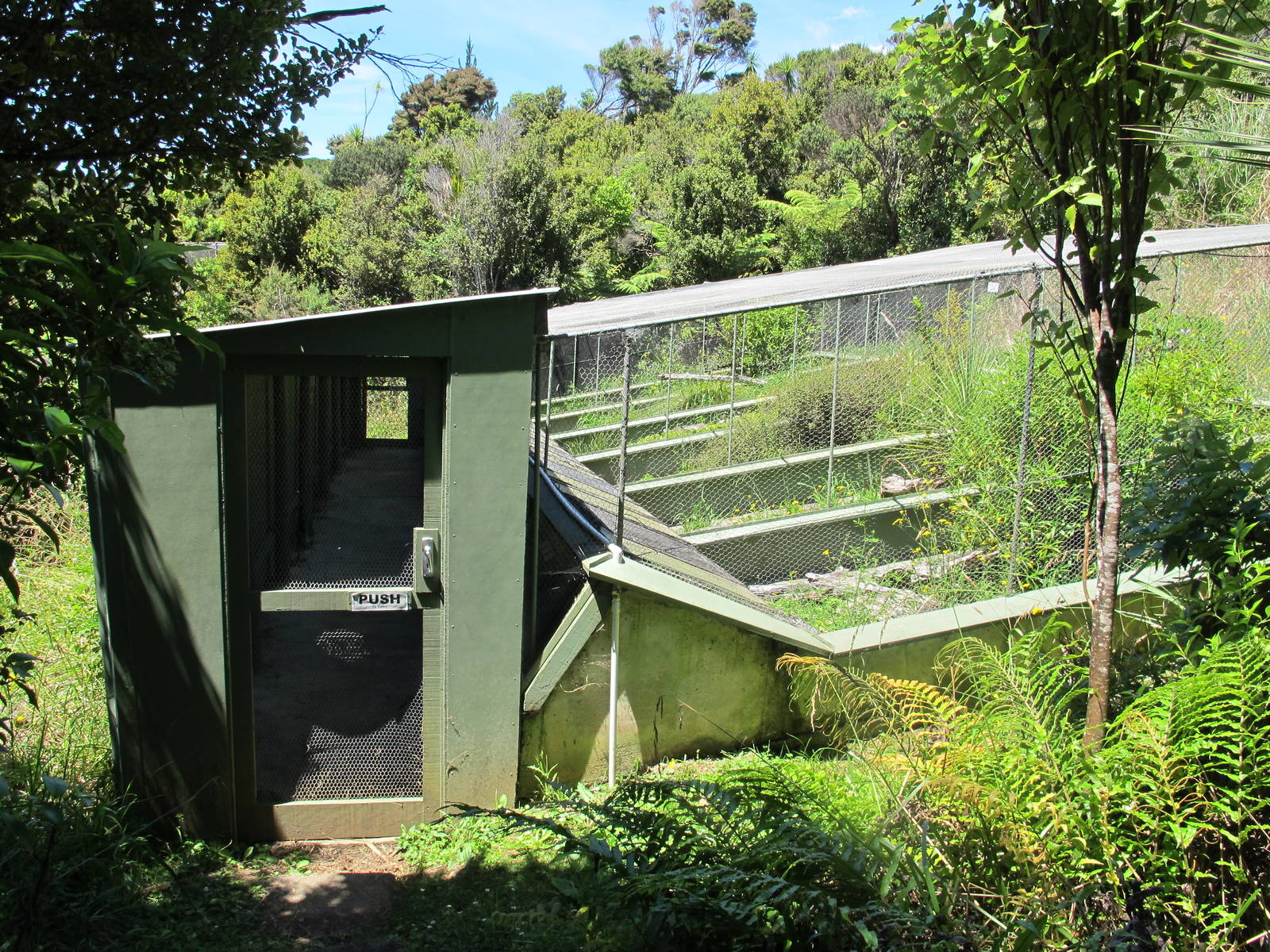 Native Reptile Exhibit - Ti Point Reptile Park 2012