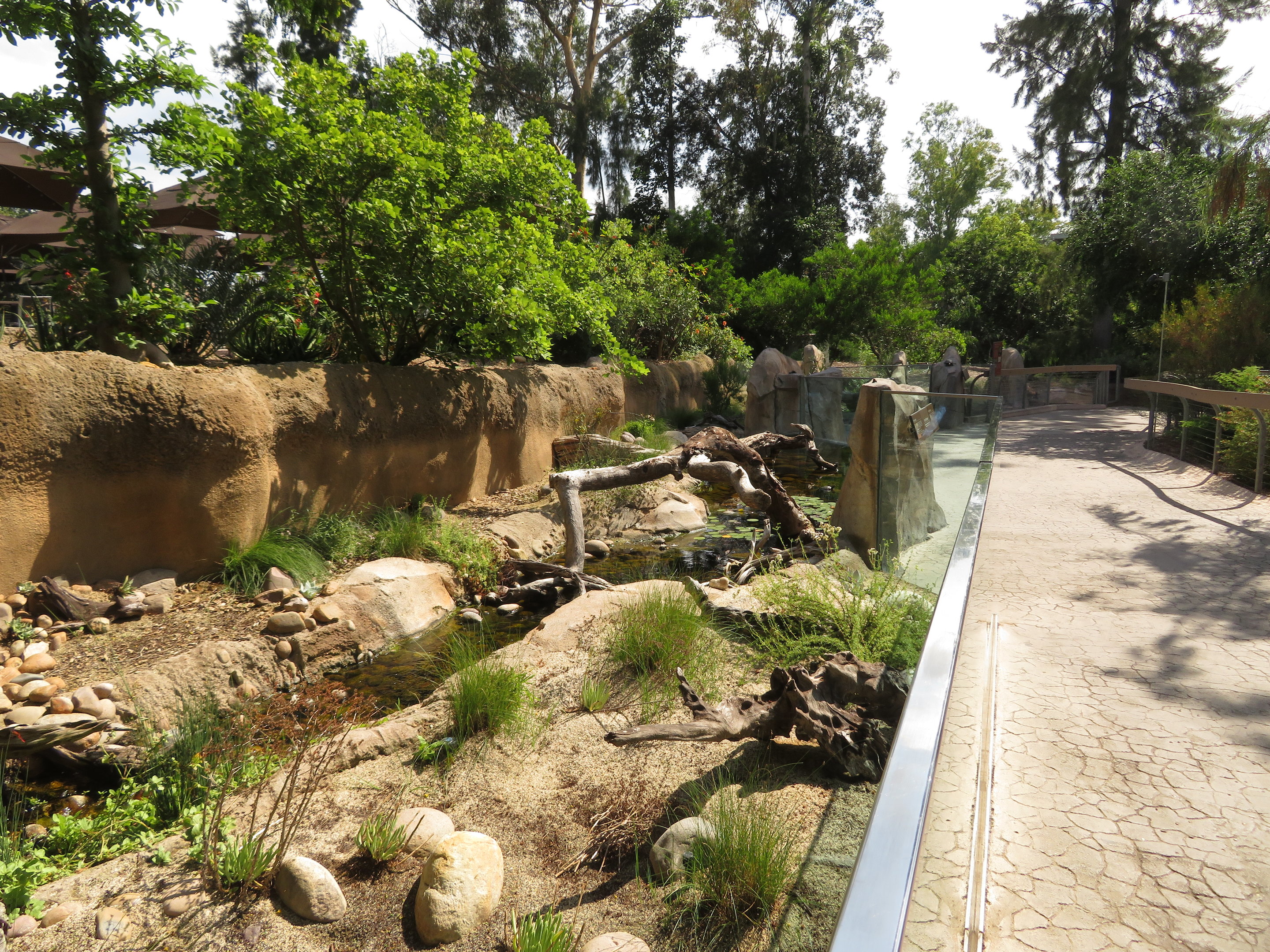 Native Reptile Exhibit