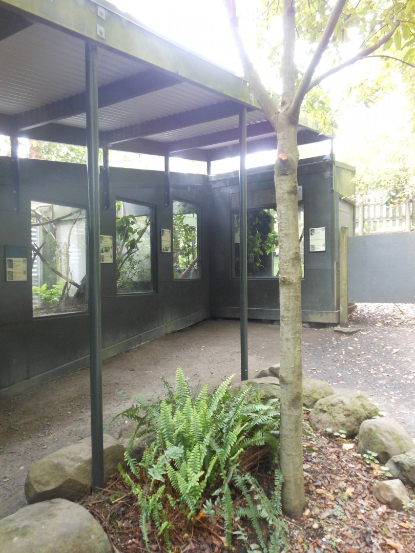 Native reptile exhibits