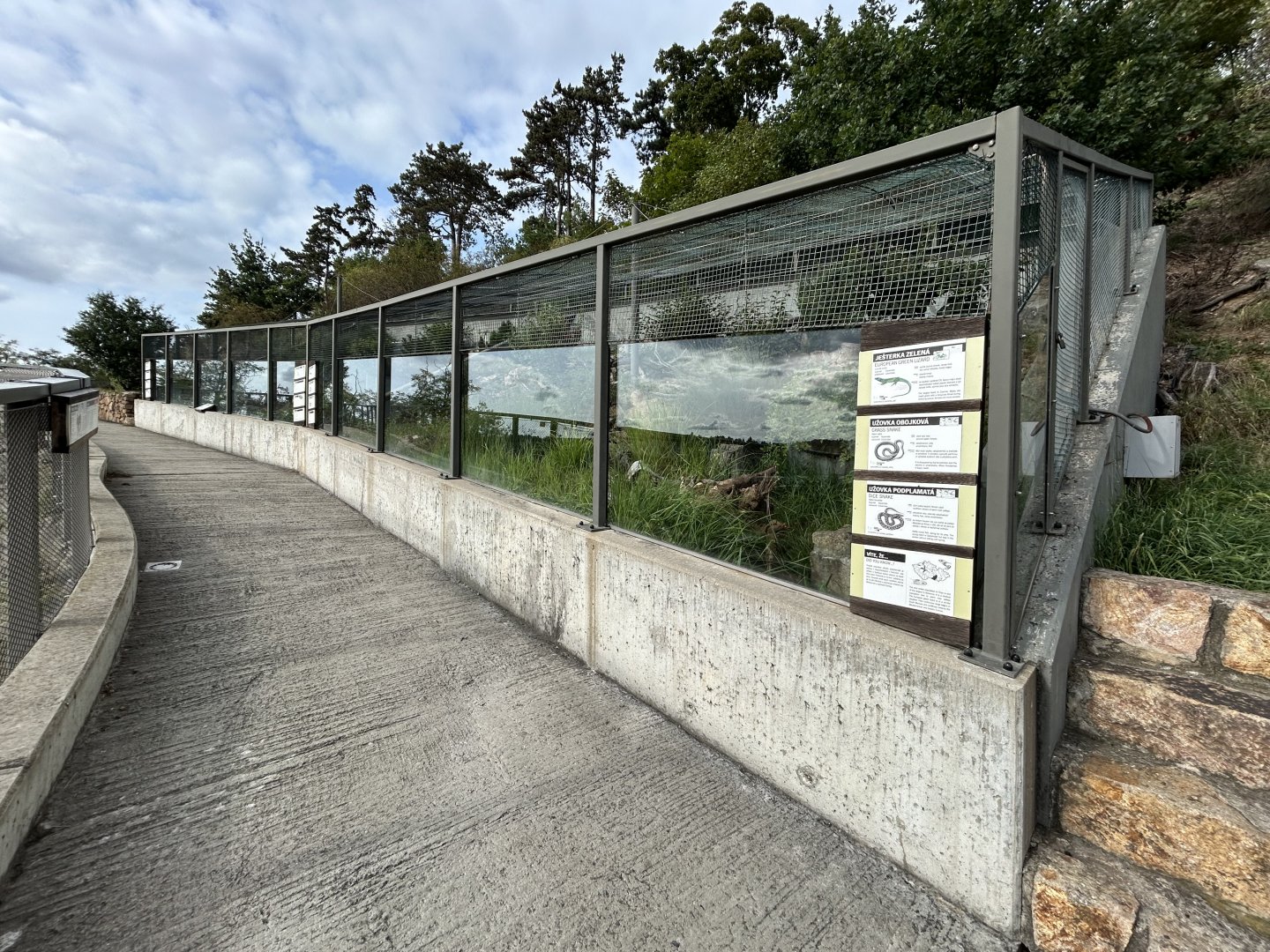 Native Reptile Exhibits