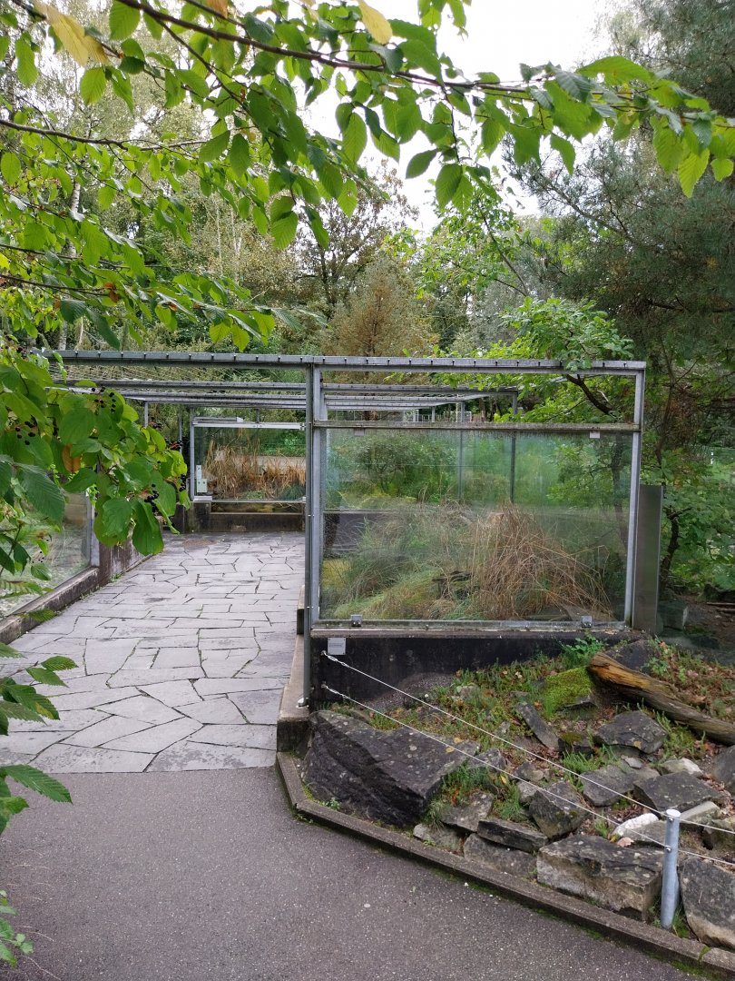 Native reptiles and amphibians open air terrariums