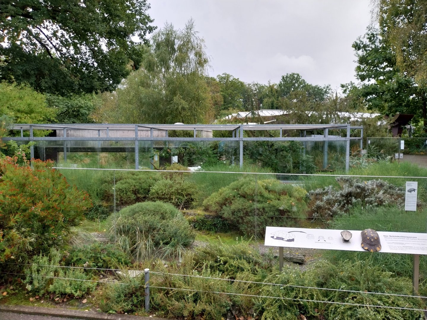 Native reptiles open air terrariums