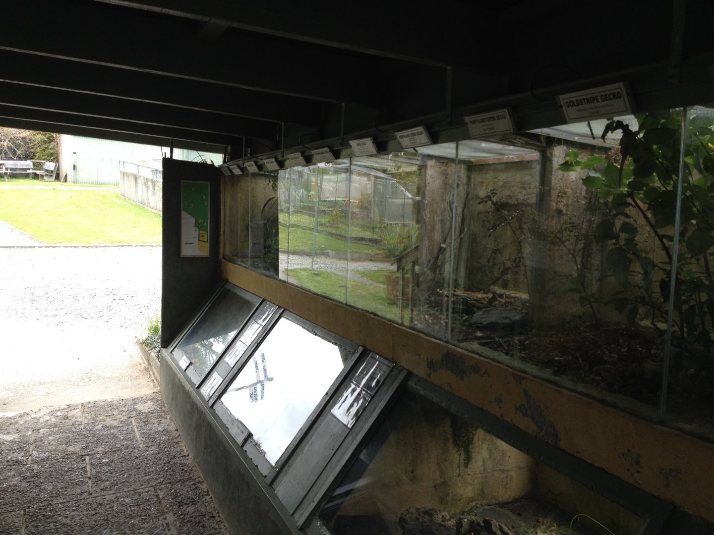 Native Reptiles tanks