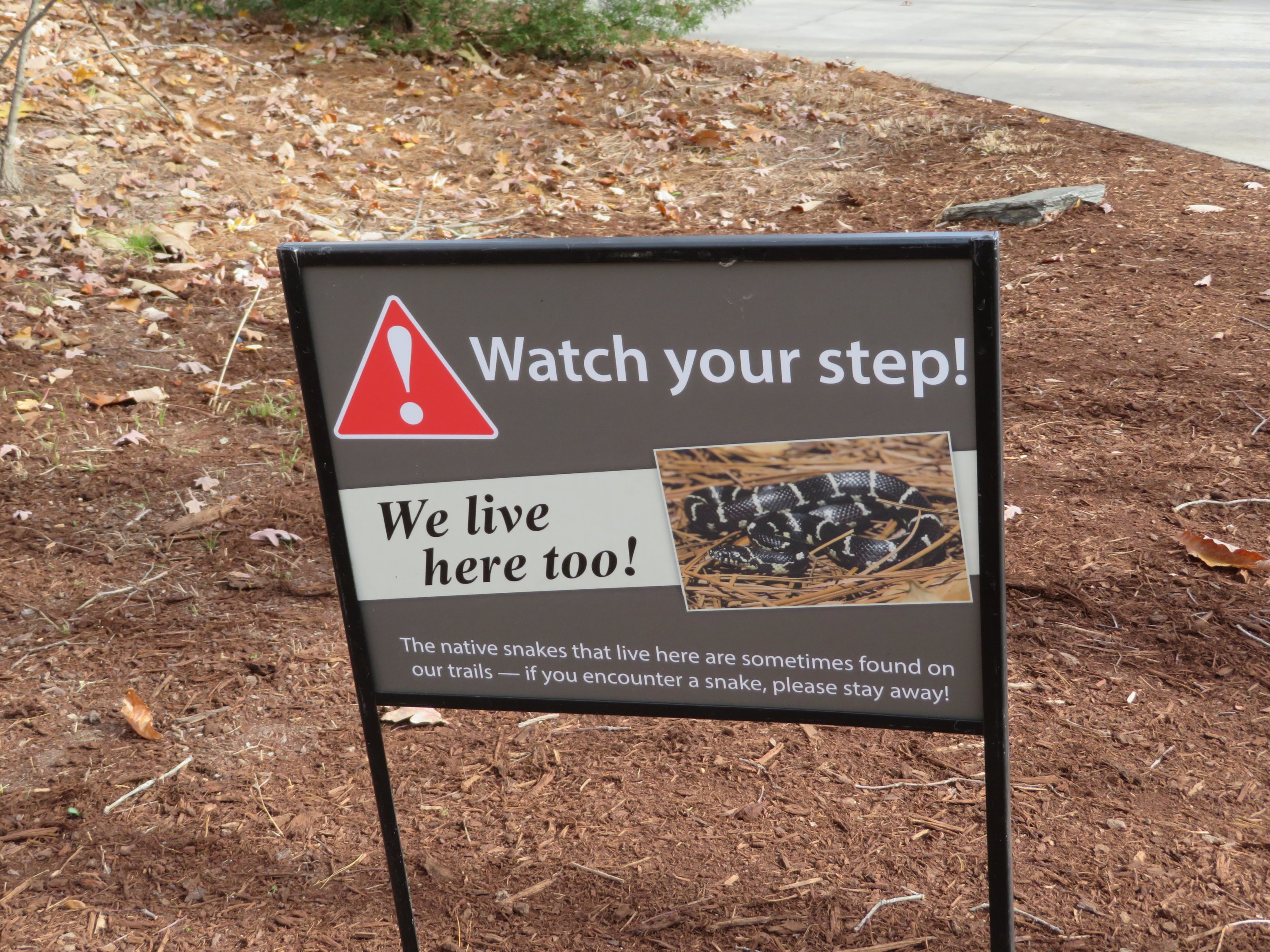 Native Snake Signage