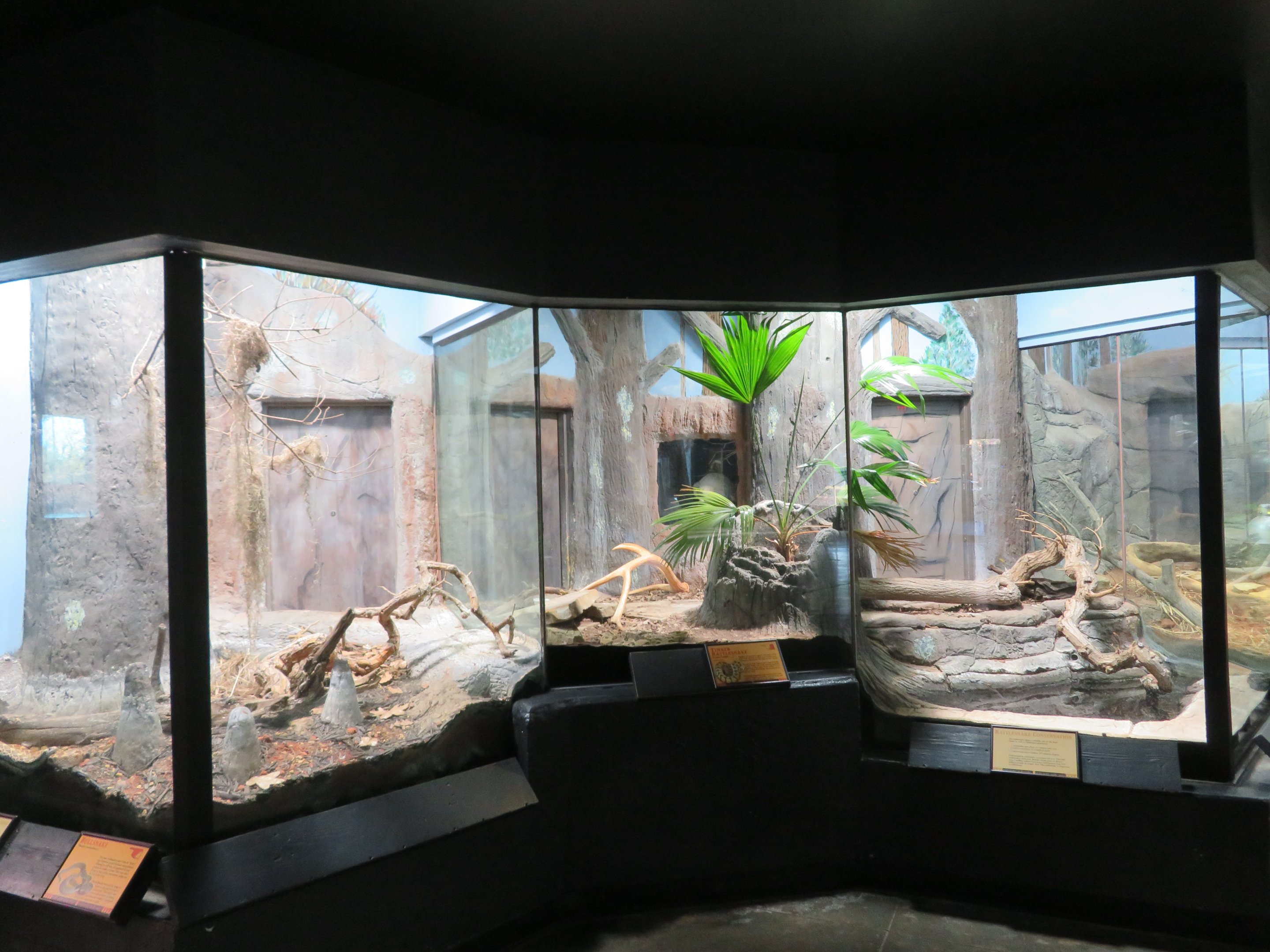 Native Snake Terrariums