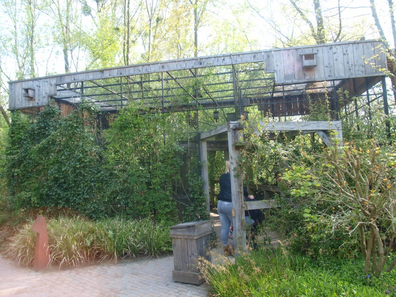 Native songbirds aviary (May 2nd, 2015)