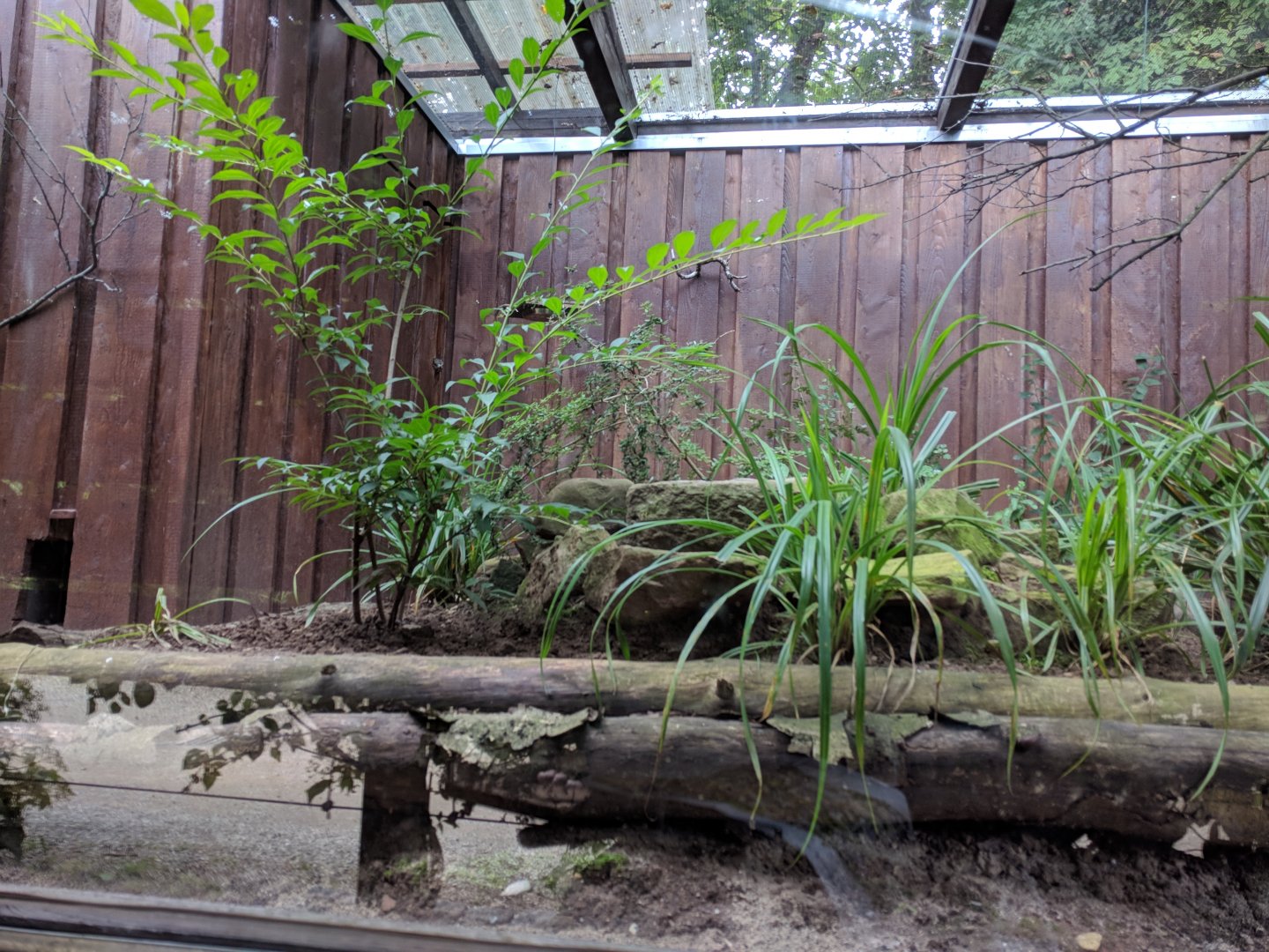 Native Songbirds Aviary right Side