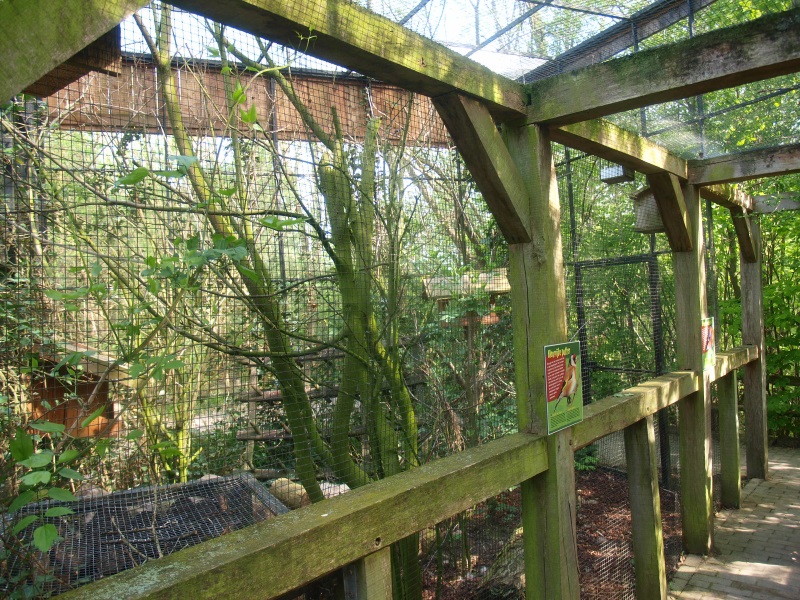 Native songbirds aviary - Visitor tunnel (May 2nd, 2015)