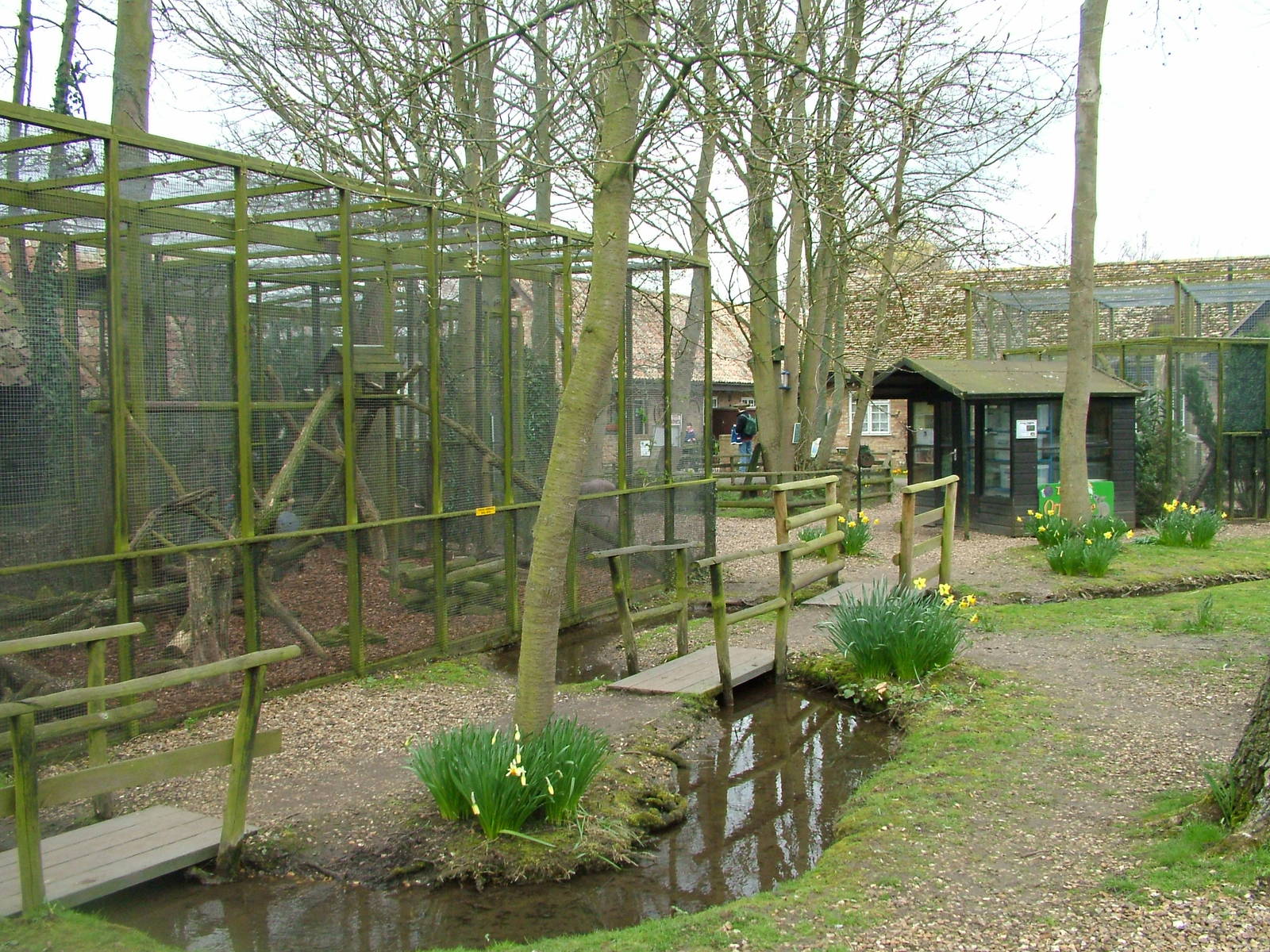 Native species area at Shepreth 05/04/10