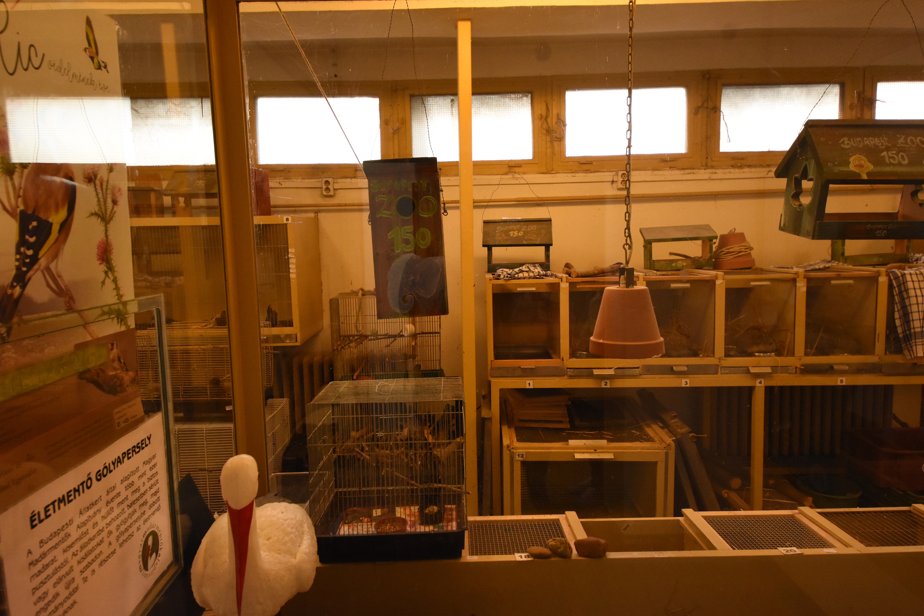 Native species house