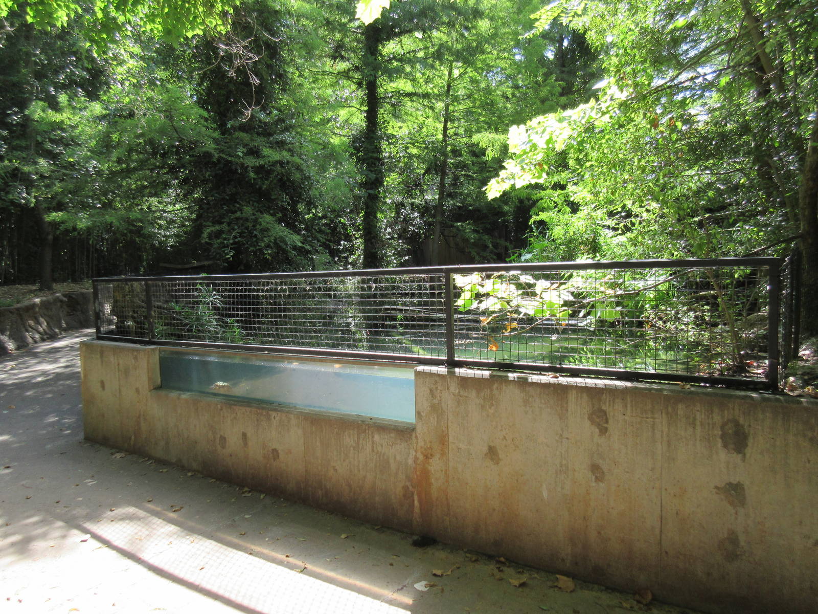 Native Turtle Exhibit