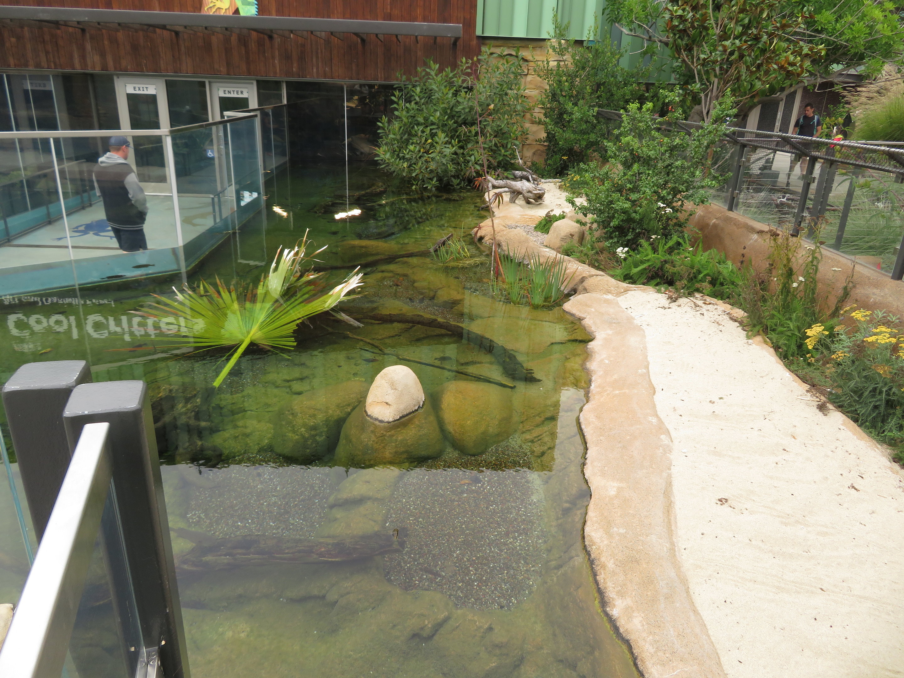 Native Turtle Exhibit