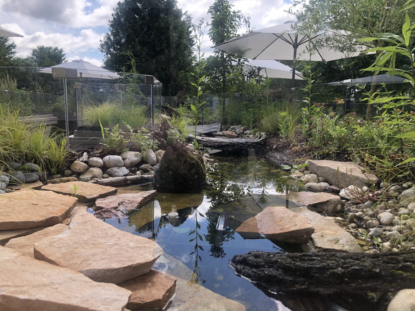 Native Turtle Exhibit