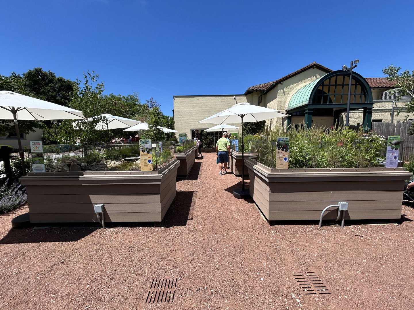 Native Turtle Exhibits