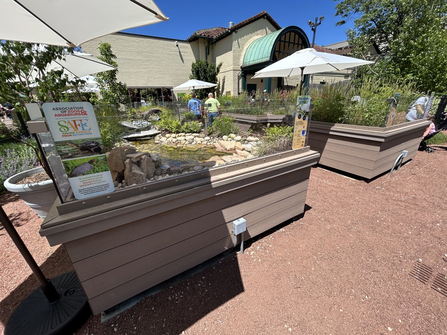 Native Turtle Exhibits