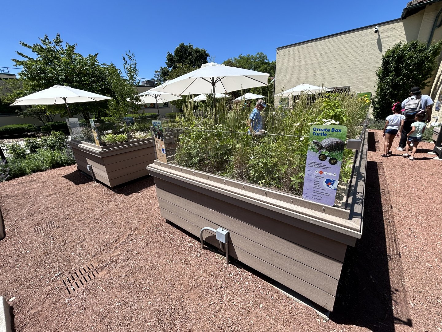 Native Turtle Exhibits