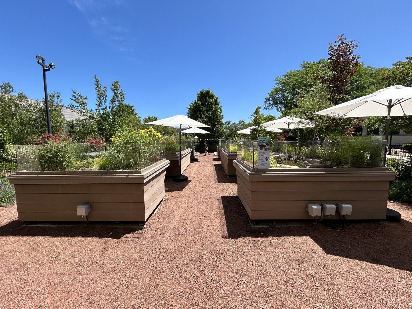 Native Turtle Exhibits