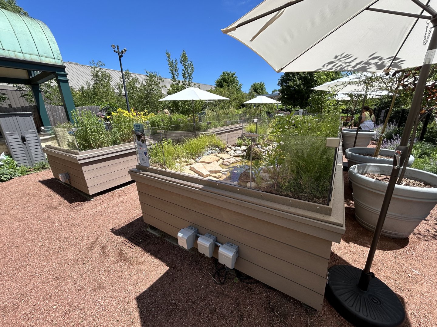 Native Turtle Exhibits