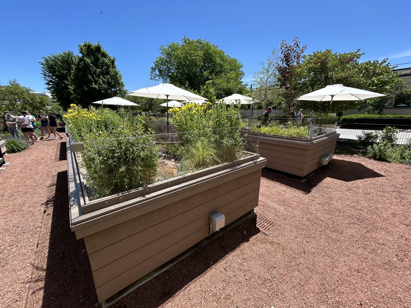 Native Turtle Exhibits