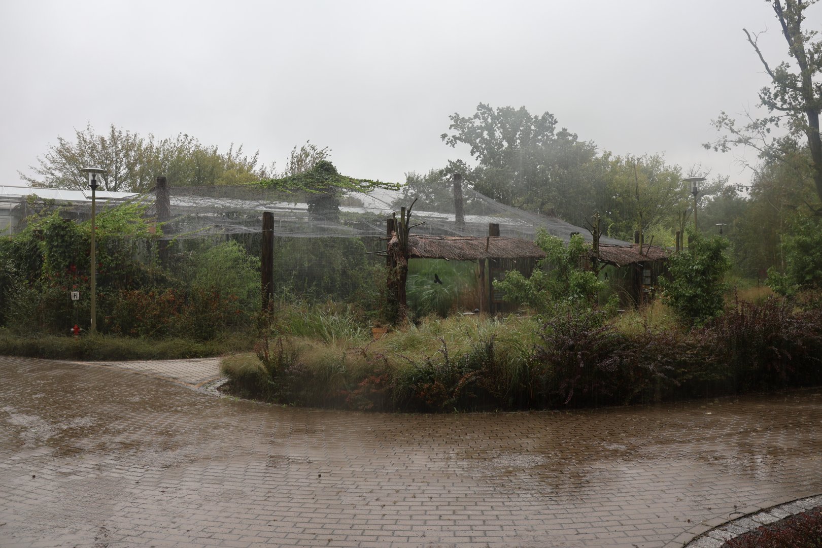 Native wetland aviary