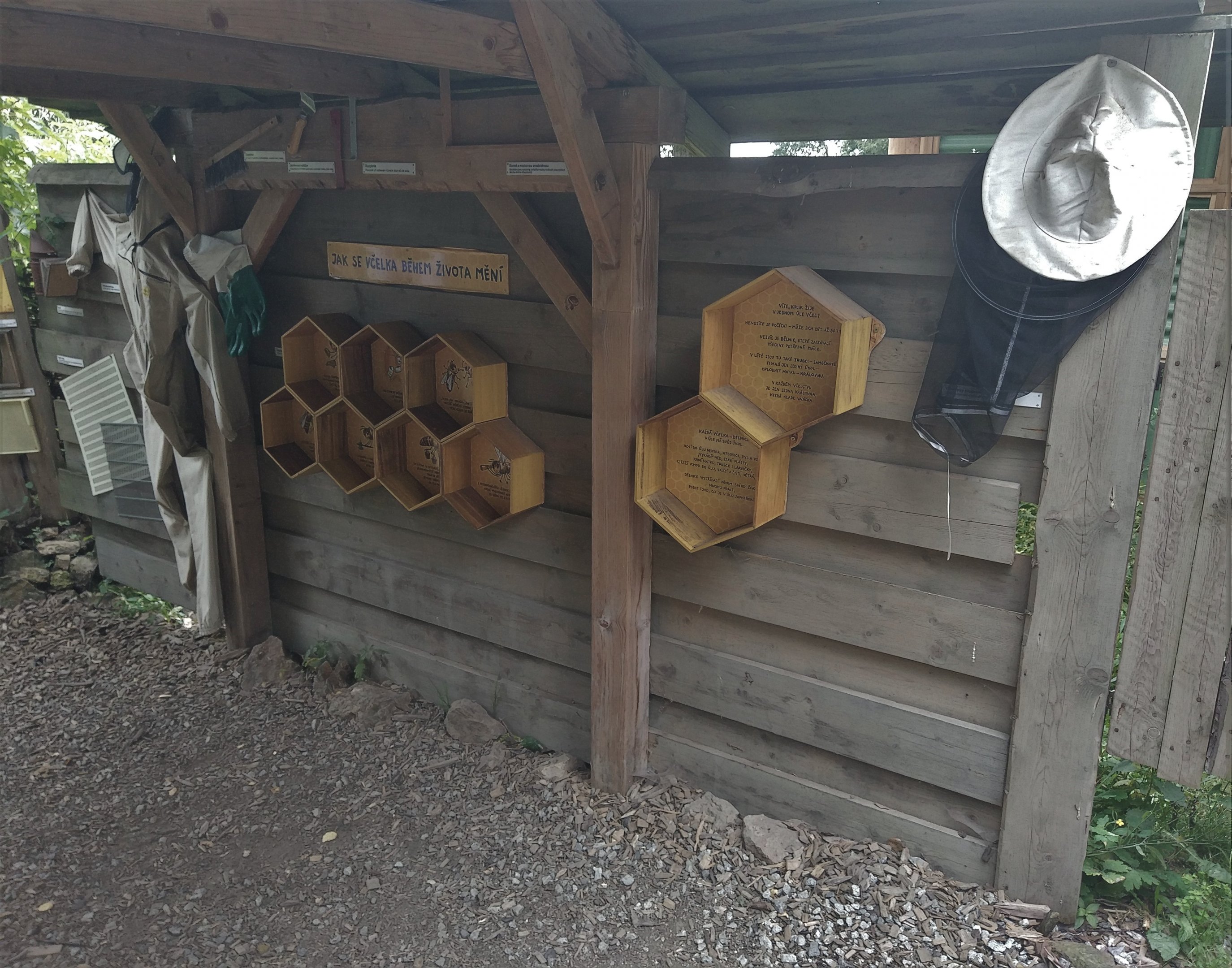 Native Wild Insects Area