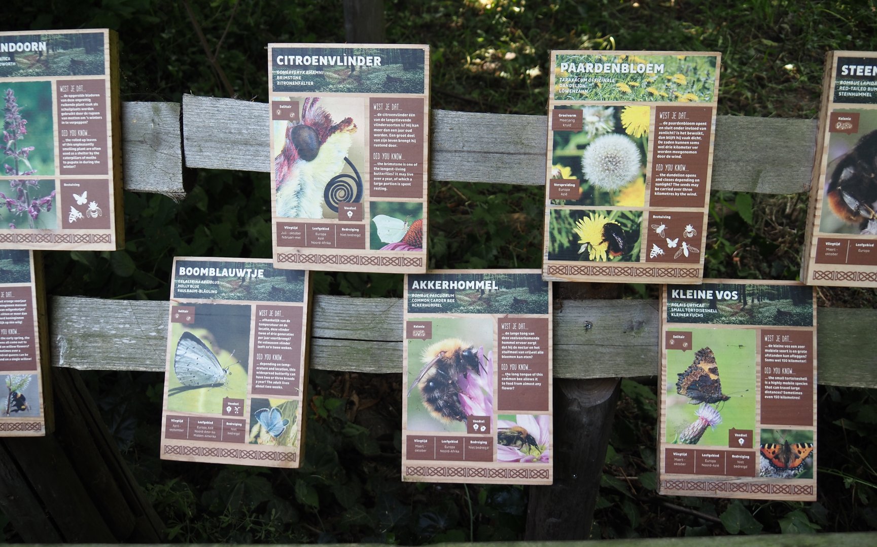 Native wildlife area in the former wolf exhibit - Native wildlife and plant signage, 2024-06-30